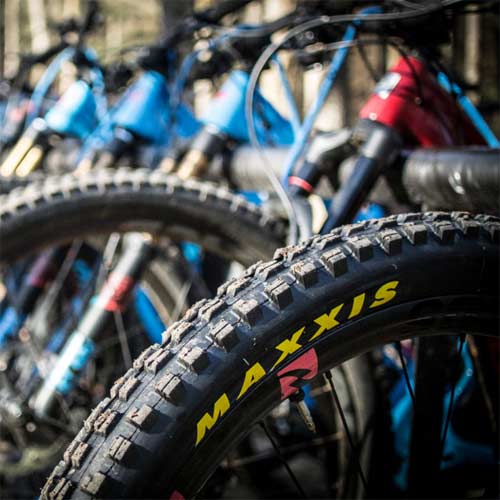 Cubiertas Maxxis para MTB