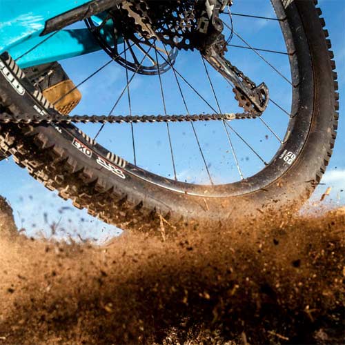 Comparativa neumáticos MTB 29